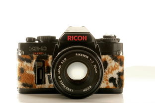 粉红豹与复古理光 潮人摄影的可爱修补匠情怀